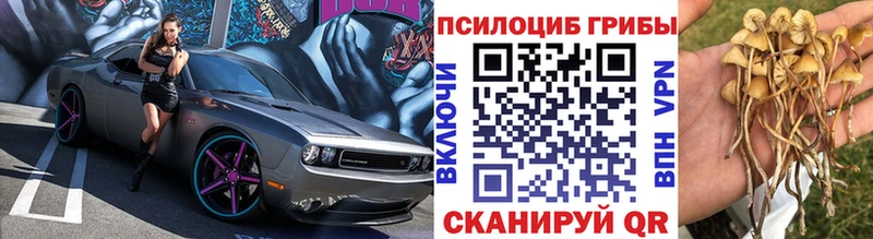 Псилоцибиновые грибы Psilocybine cubensis  даркнет сайт  Чита 